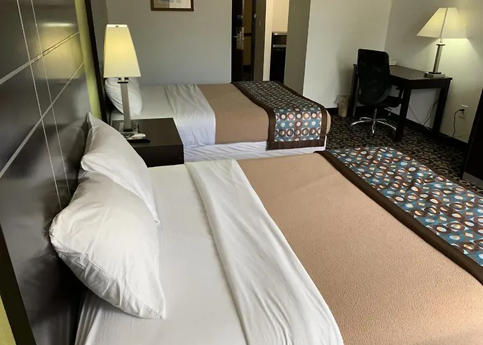 Hotel King's